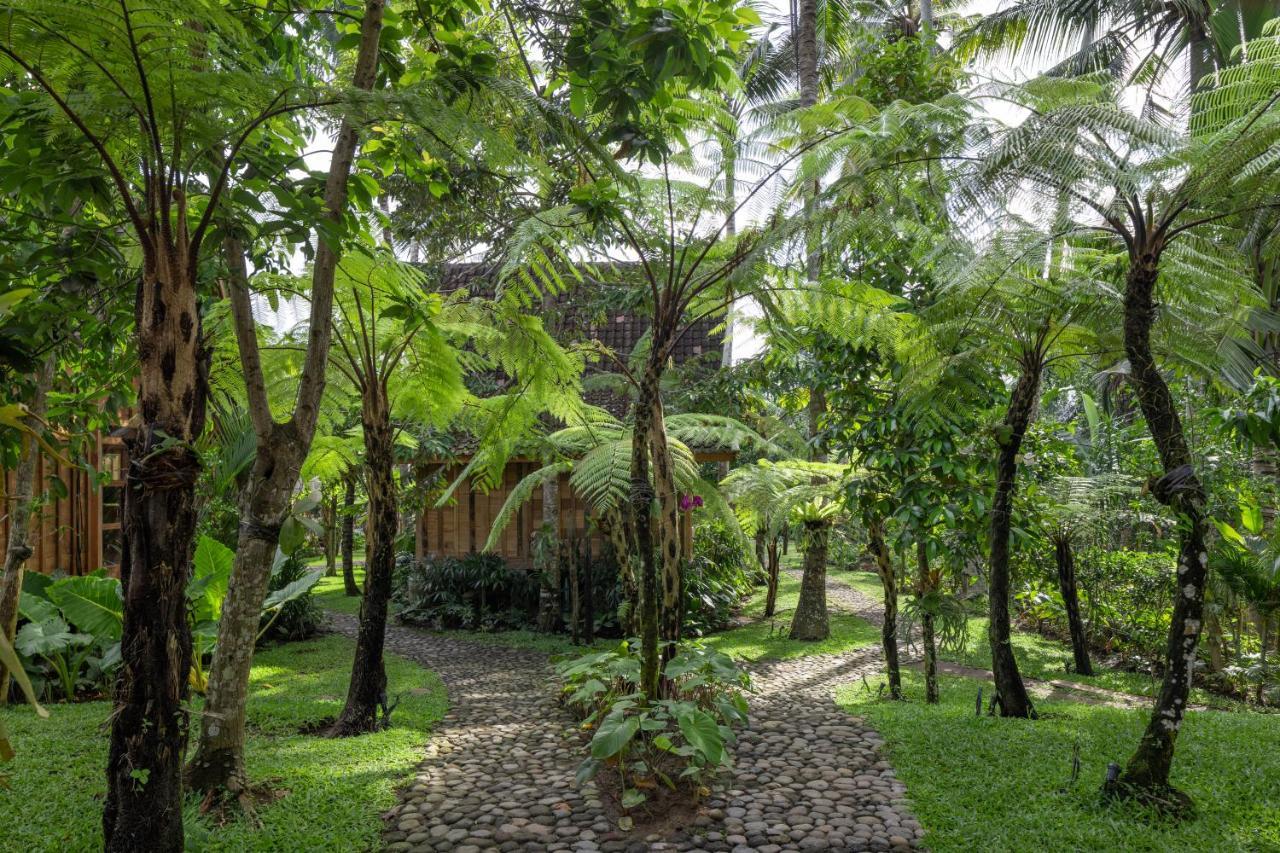 Rumah Kayu Resort Ubud Zewnętrze zdjęcie