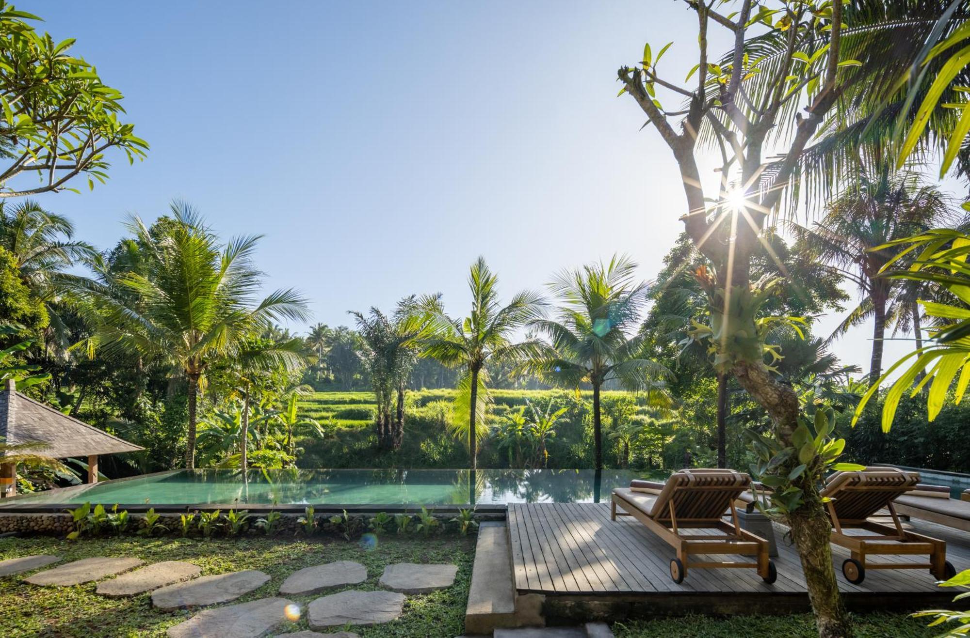 Rumah Kayu Resort Ubud Zewnętrze zdjęcie